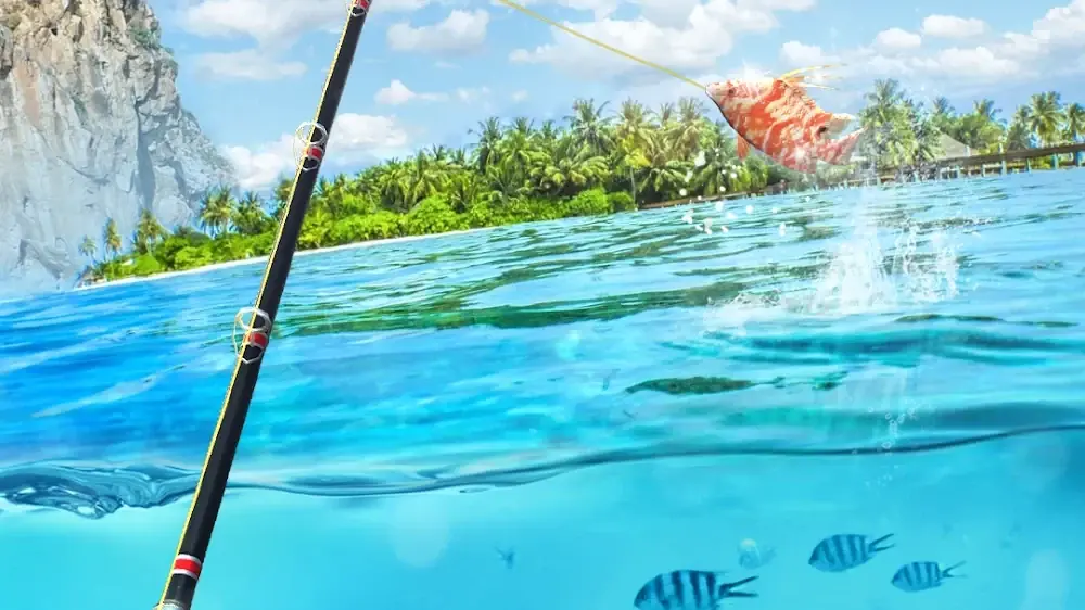 Fishing Rival 3D: geteilte Ansicht mit Felsküste oben und Unterwasserwelt unten