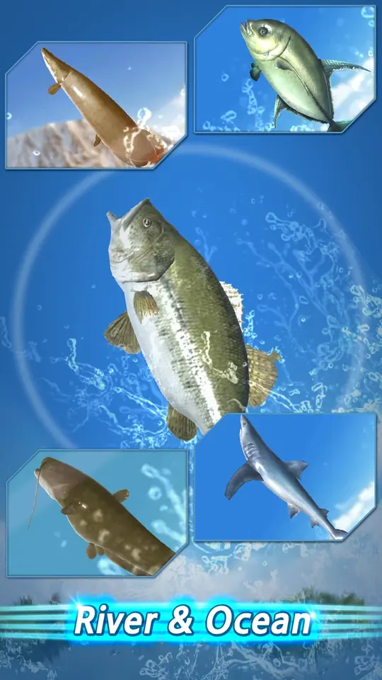 Fishing Season: Collage aus Süß- und Salzwasserfischen mit dem Schriftzug River & Ocean
